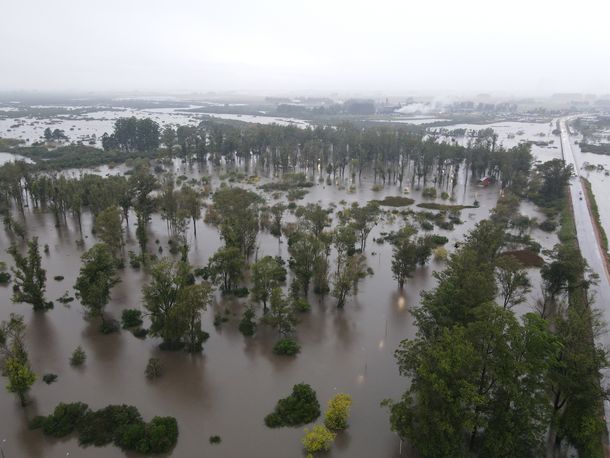 Las inundaciones en distintos puntos del país preocupan al agro en plena zafra.