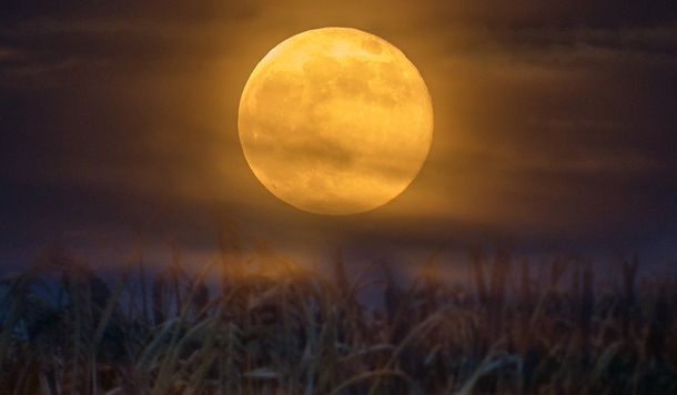 Luna de cosecha: el fenómeno astronómico que se dará este viernes 13