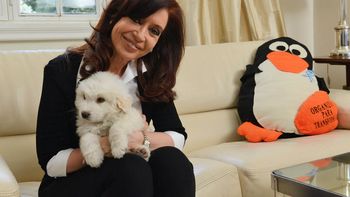 regreso cristina y rompio el luto: agradezco a todos regreso cristina y rompio el luto: agradezco a todos