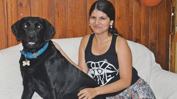 Una perra heroína salvó a su dueña embarazada de morir electrocutada