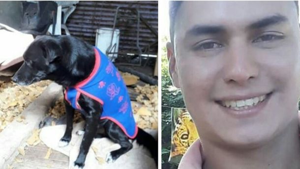 Escabroso mensaje intimidatorio del acusado de ahorcar al perro comunitario en Berazategui