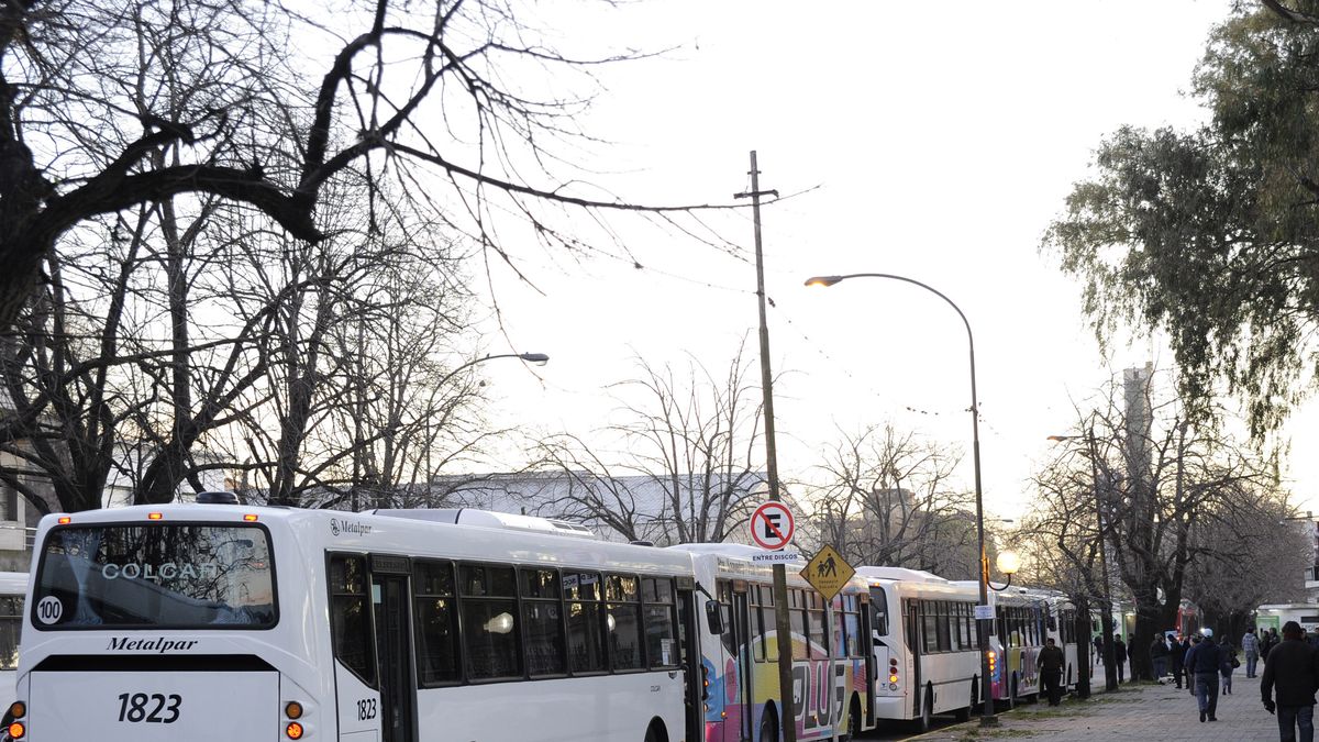 Se levantó el paro de colectivos en La Plata