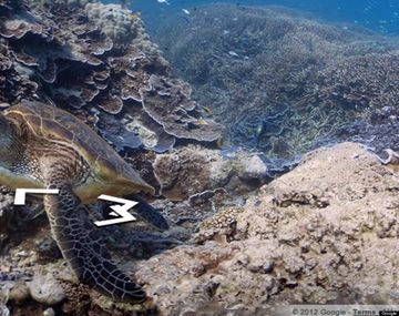 Google permite recorrer los océanos
