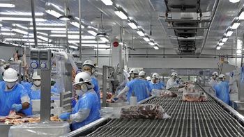 México habilitó a Uruguay a volver a exportar carne bovina y ovina luego de tres años. México habilitó a Uruguay a volver a exportar carne bovina y ovina luego de tres años.