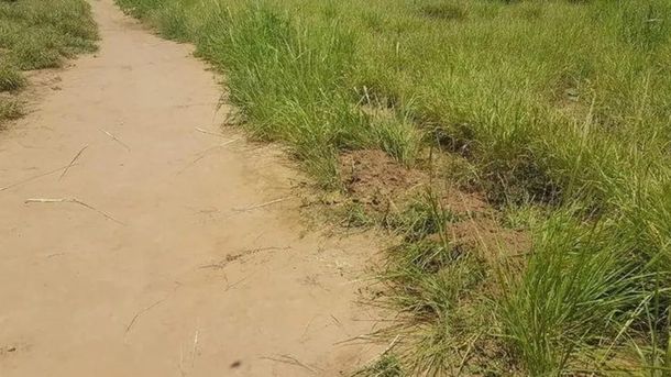 El lugar donde fue atacada la adolescente de 14 años. (Foto gentileza: El Tribuno de Salta)