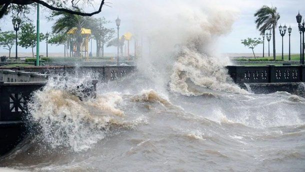 Alerta por la crecida del Río de la Plata: calles inundadas y autos anegados en Tigre