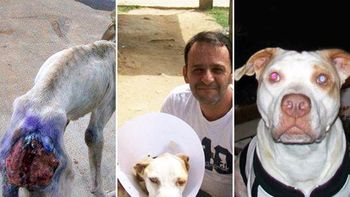 una historia de amor: rescato a un perro y lo salvo de una muerte segura una historia de amor: rescato a un perro y lo salvo de una muerte segura