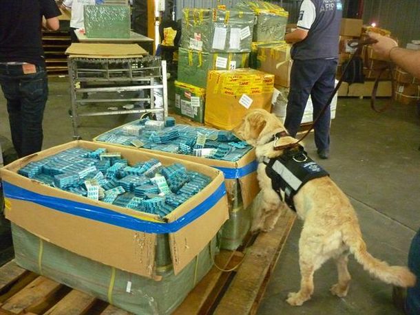 La AFIP incautó veinte mil medicamentos para adelgazar truchos