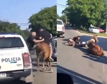 Insólita persecución en Quilmes: detuvieron a dos jóvenes que estaban robando a caballo