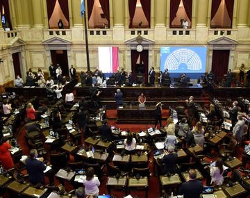 Aborto: Diputados emite el dictamen del proyecto de interrupción voluntaria del embarazo