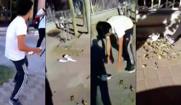 Escándalo en San Juan por el video de un grupo de estudiantes que maltratan a una paloma