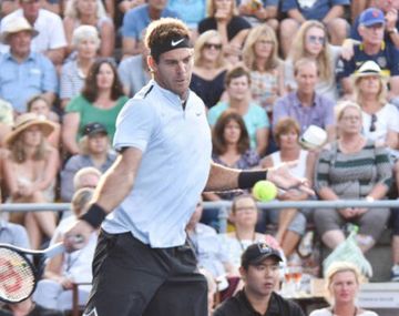 Juan Martín Del Potro vs. David Ferrer