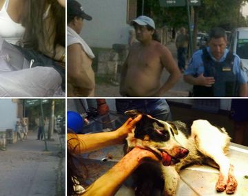 Arrastró a su perro con su auto y lo mató