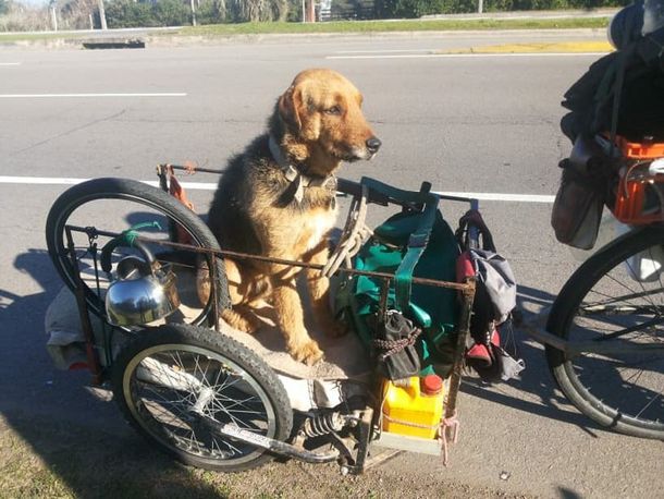 Se llevó a su perro a recorrer el país, pero se le perdió a mitad de camino
