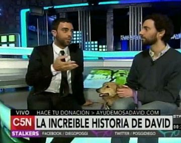 Lo picó garrapata de ciervo y tiene  rara enfermedad