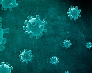 N5017: los detalles de la nueva cepa de coronavirus que pone en alerta al mundo