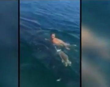 Un adolescente se subió a un tiburón ballena para dar una vuelta