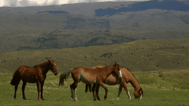 La naturaleza envolvente de Córdoba te espera en Villa Yacanto. (Foto: Villa Yacanto). La naturaleza envolvente de Córdoba te espera en Villa Yacanto. (Foto: Villa Yacanto).