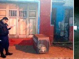 Esta vez, en San Luis: un perro mató a un nene