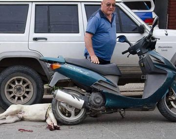 Arrastró al perro hasta dejarlo moribundo