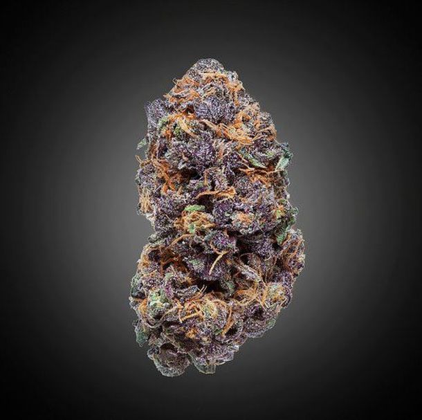 En China, encuentran un cogollo con 27 siglos de antigüedad