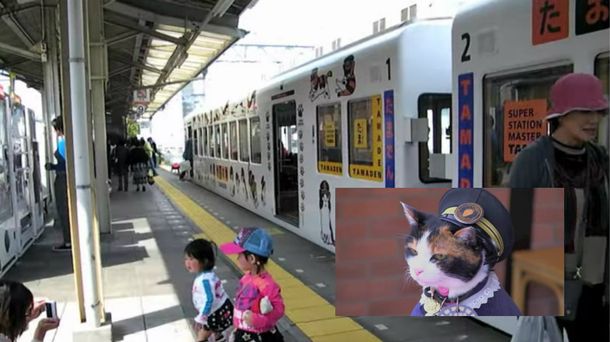 Dolor en Japón por la muerte de la gata que era jefa de una estación del tren