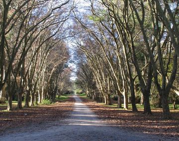 Una joven fue encontrada asesinada en el Parque Pereyra Iraola