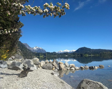 Bariloche imperdible: el destino que atrapa por su naturaleza y montañas