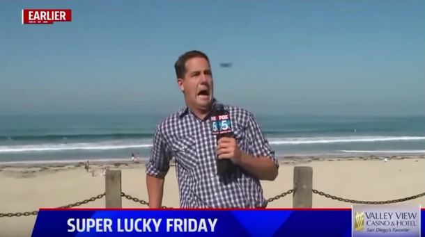 Periodista sufre el ataque inesperado de un bicho cuando daba su informe