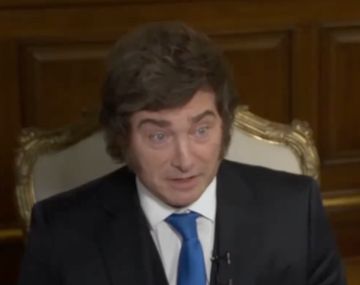 Milei y sus agravios en el Congreso: Me le paro de manos al kirchnerismo