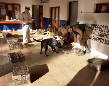 Secuestran casi media tonelada de marihuana en Misiones