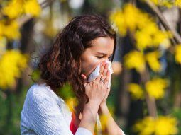 Llegó la primavera y con ella las alergias: qué precauciones tomar