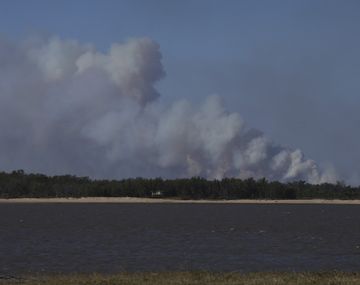 Hace 10 d&iacute;as que arden los humedales del r&iacute;o Paran&aacute;