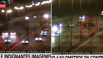 iba a contramano, choco y mato a dos personas en la panamericana iba a contramano, choco y mato a dos personas en la panamericana