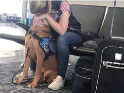 VIDEO: Tuvo un ataque de pánico en el aeropuerto y su perro logró calmarla