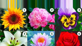 test viral: la flor que elijas revelara todo sobre tu forma de ser