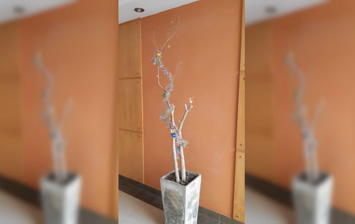 Se quejó de la decoración navideña de su edificio en las redes sociales y su posteo fue furor