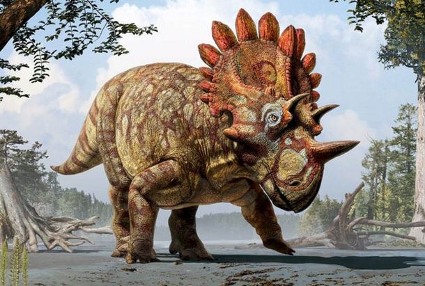 Descubren un nuevo dinosaurio lleno de cuernos