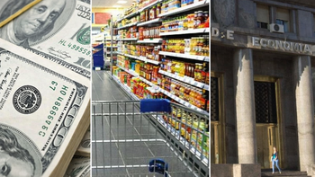 Cuáles son las variables que miran los expertos. Cuáles son las variables que miran los expertos.