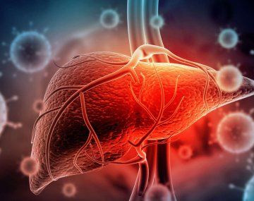 Descubrieron que el bloqueo de una proteína reduce la hepatitis fulminante