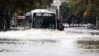 la ciudad informo que ya se empiezan a cobrar los subsidios la ciudad informo que ya se empiezan a cobrar los subsidios