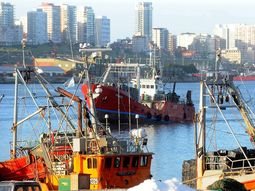 Una joven apareció muerta en su camarote - Crédito: La Capital - Imagen ilustrativa Una joven apareció muerta en su camarote - Crédito: La Capital - Imagen ilustrativa