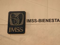 Pensiones del IMSS. Pensiones del IMSS.