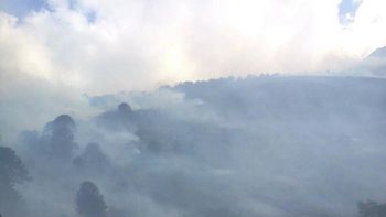 un incendio esta arrasando un bosque nativo en neuquen un incendio esta arrasando un bosque nativo en neuquen