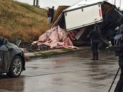 Volcó un camión con 8 mil kilos de carne e intentaron saquearlo