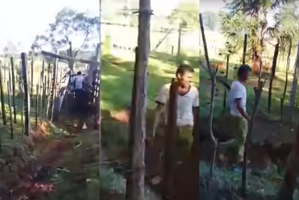 VIDEO: Descubrió a su vecino teniendo sexo con su vaca, lo filmó y lo escrachó