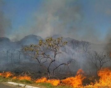 Macri dijo estar conmovido por los incendios en el Amazonas: Nuestro sistema de emergencias se encuentra a disposición