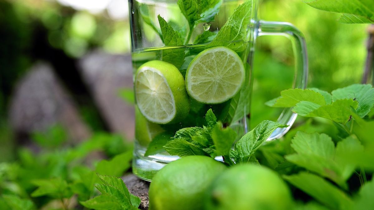 La planta para cuidar tu salud física y mental de manera natural