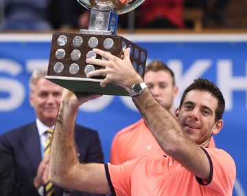 Juan Martín del Potro logró su decimonoveno título en el circuito.