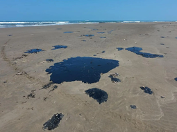 Preocupación por el derrame de petróleo en el Golfo de México. Preocupación por el derrame de petróleo en el Golfo de México.